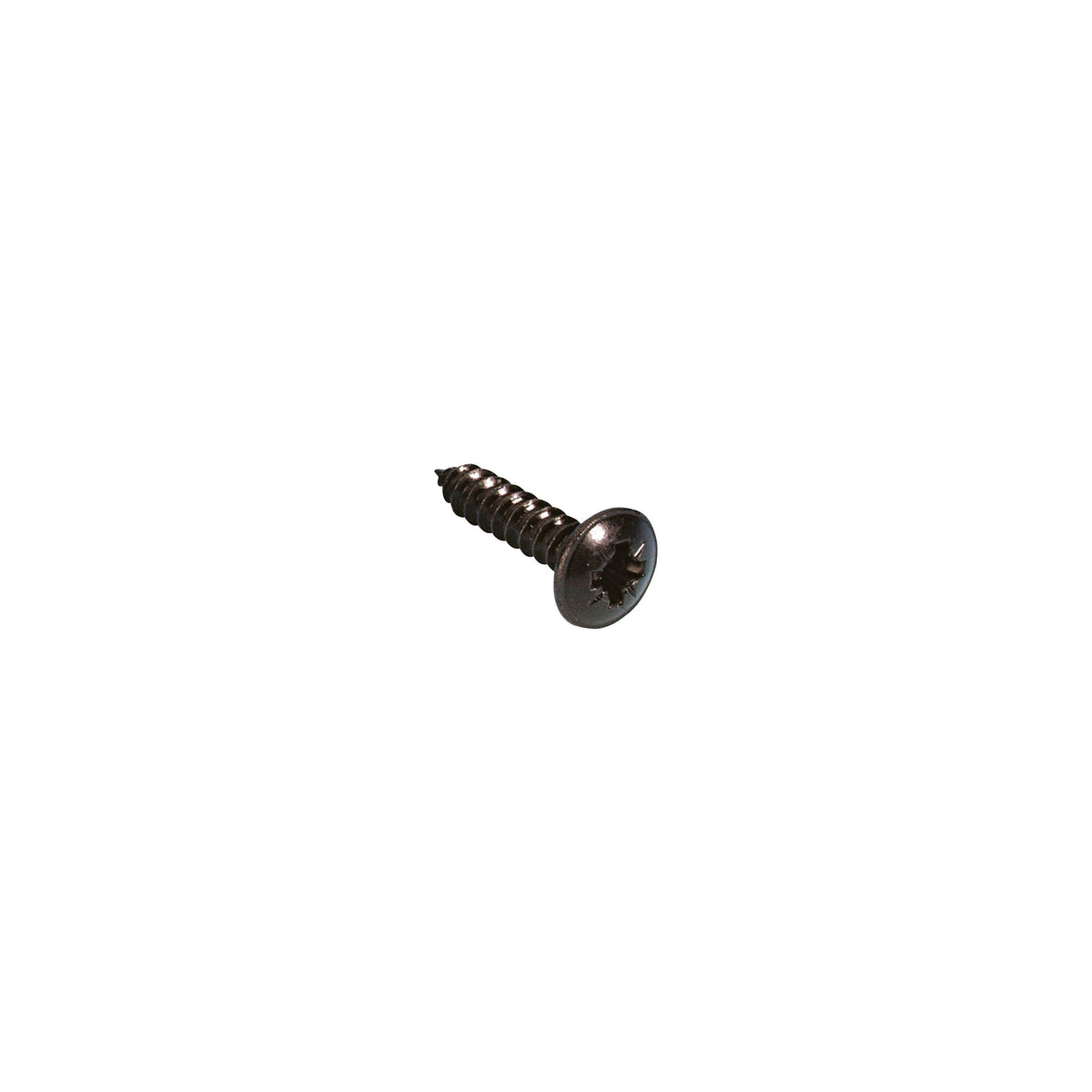 5541BLK - Particle Board Screw 19 mm black