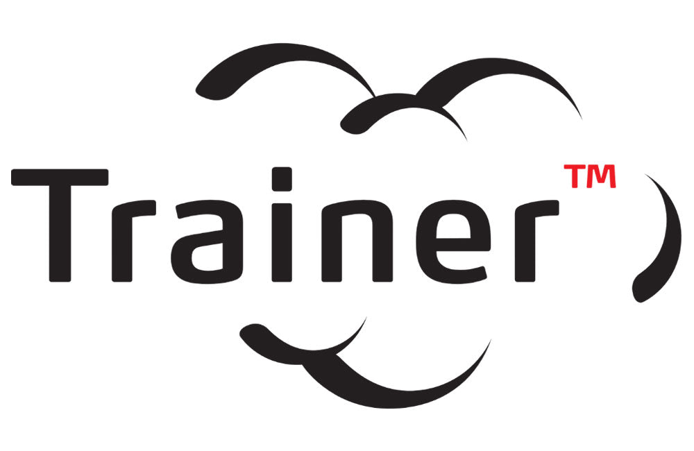 Trainer fire training systems logo